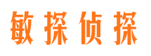 峡江私人侦探